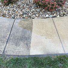 Soft Wash Gallery 2